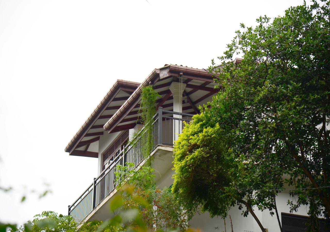 Dreamscape Home Stay Канди Экстерьер фото